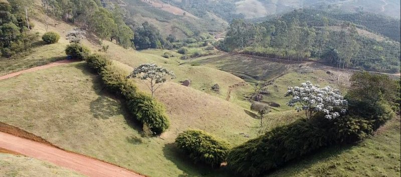 Chcara - Venda - Capara - Regio do Capara - ES