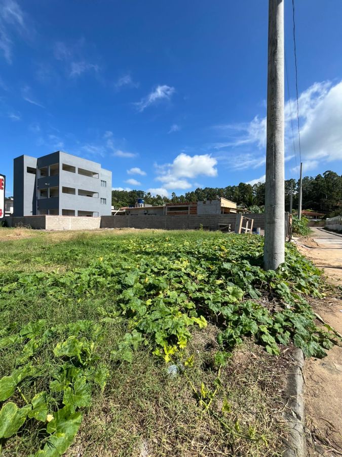 Lote - Venda - Scherrer - Pi�ma - ES