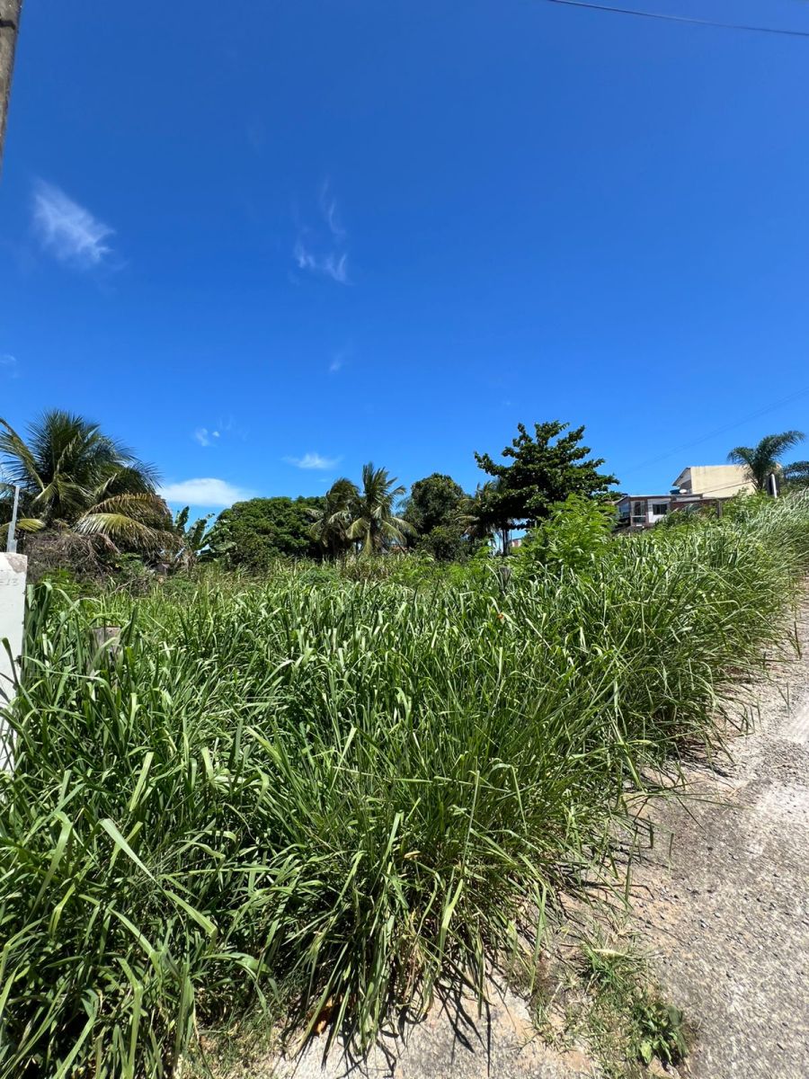 Lote - Venda - Nova Esperan�a - Pi�ma - ES