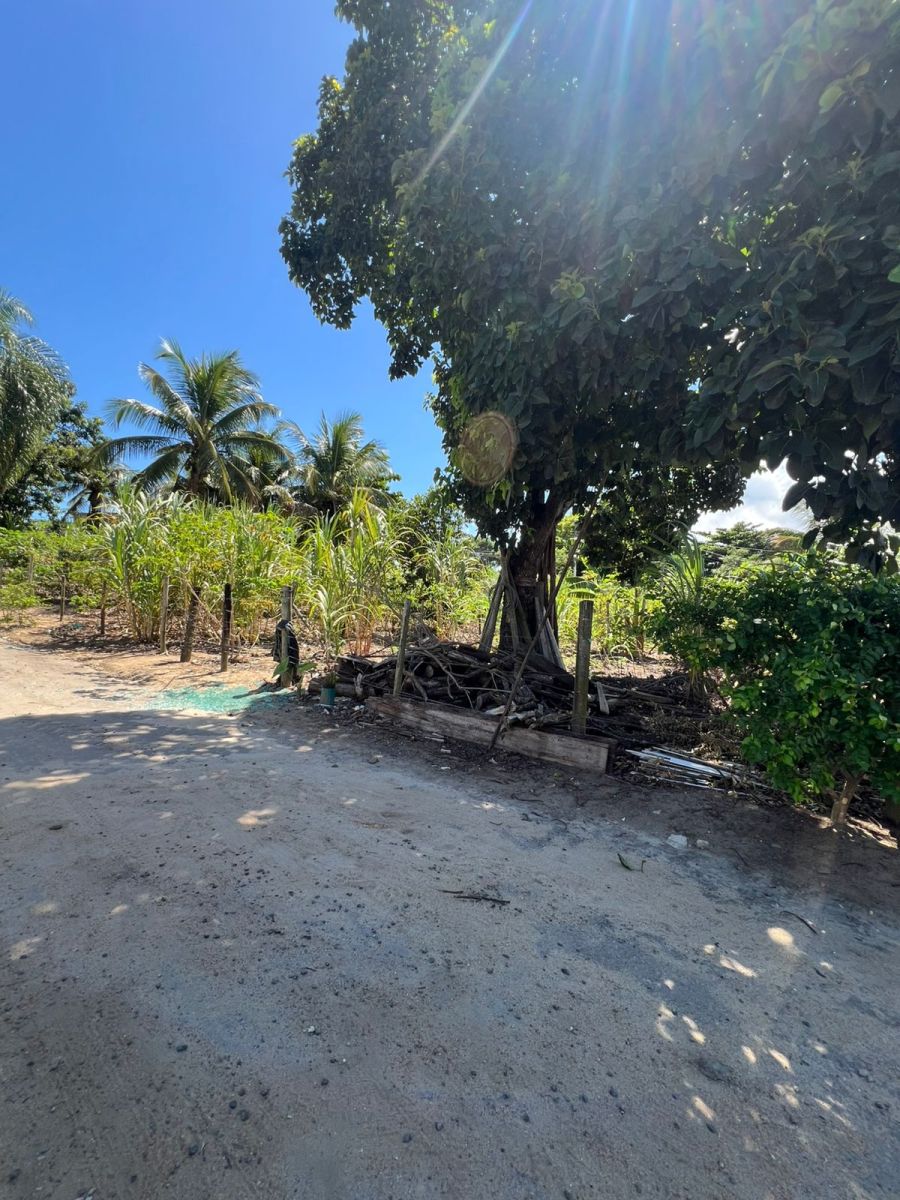 Lote - Venda - Nova Esperan�a - Pi�ma - ES