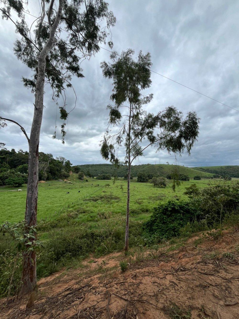 rea - Venda - Garrafo - Itapemirim - ES
