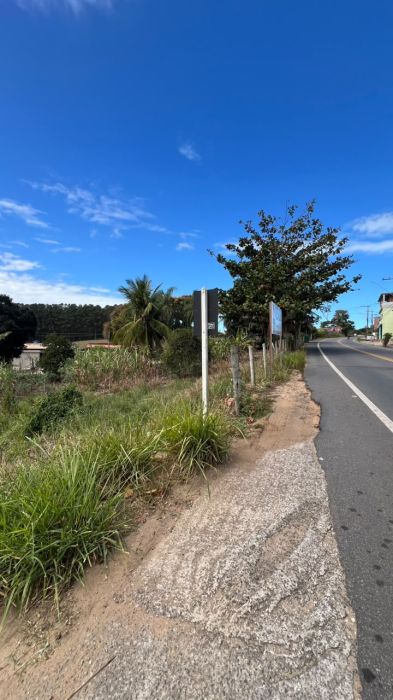 Lote - Venda - Nova Esperan�a - Pi�ma - ES