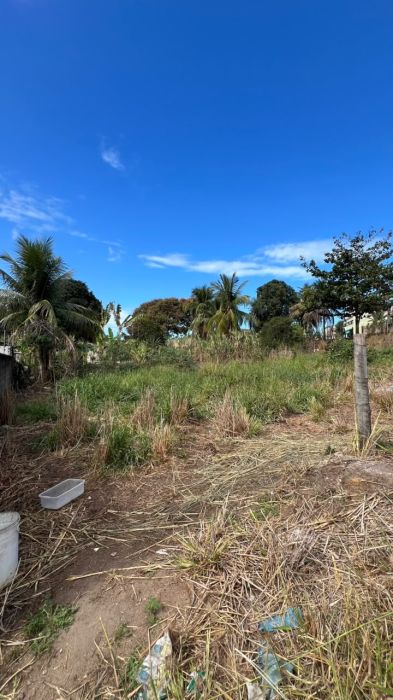Lote - Venda - Nova Esperan�a - Pi�ma - ES