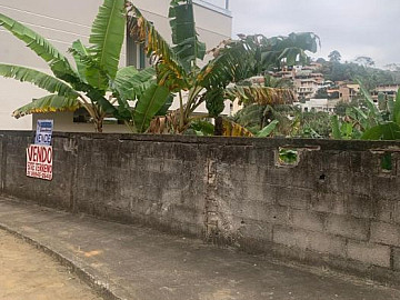 Lote Ilha do C�co