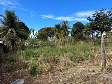 Lote � Venda